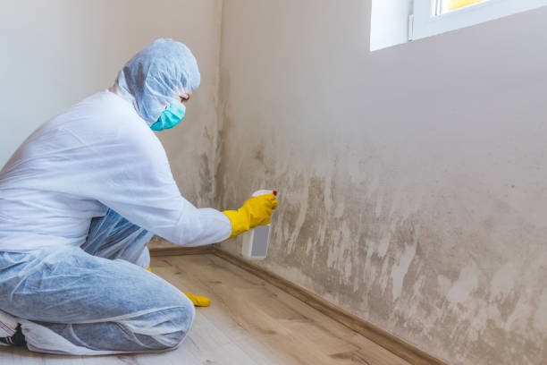 Licensed Hvac And Air Duct Mold Remediation service in Fredericksburg, TX - Mold Remediation HQ
